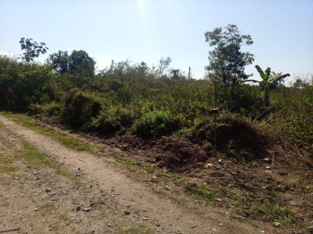 #7013 - Área para Venda em Caraguatatuba - SP - 1
