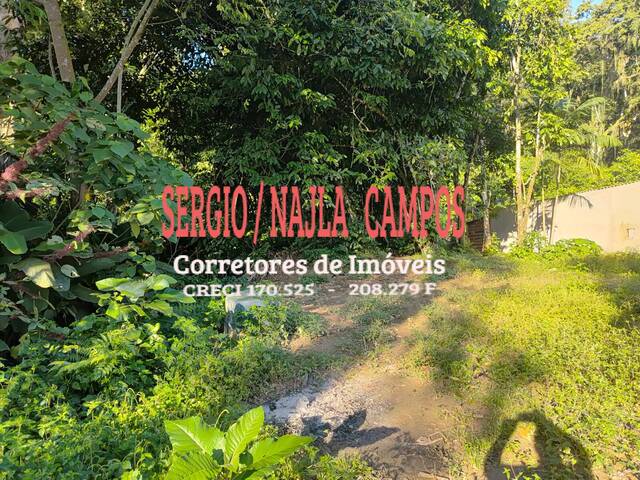 #8104 - Chácara para Venda em Caraguatatuba - SP - 3