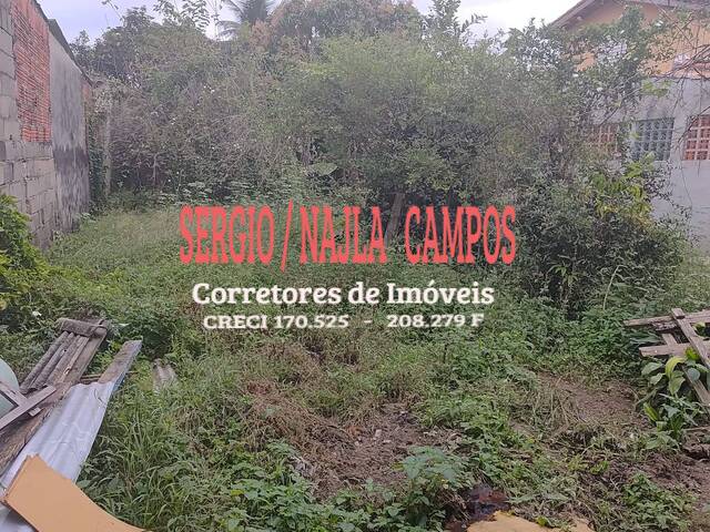 #8105 - Área para Venda em Caraguatatuba - SP - 3