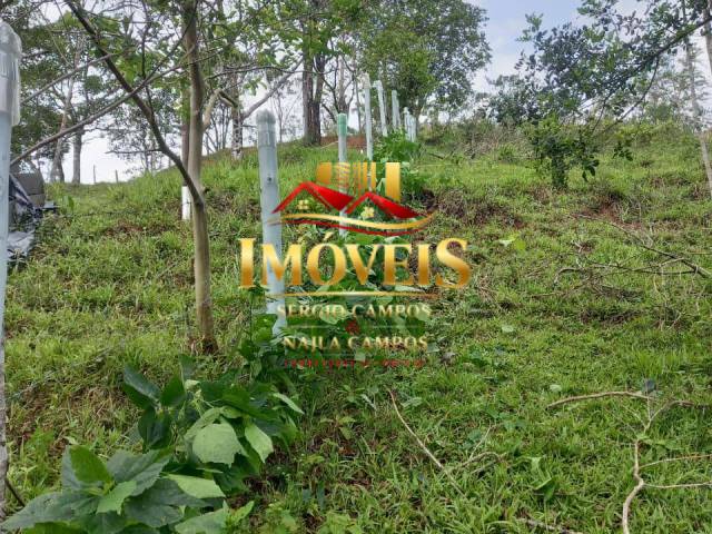 #6200 - Chácara para Venda em Caraguatatuba - SP