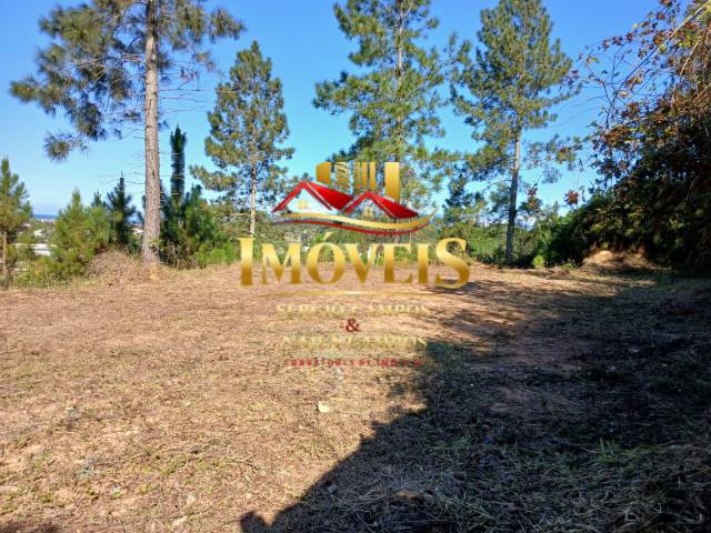 #8128 - Área para Venda em Caraguatatuba - SP