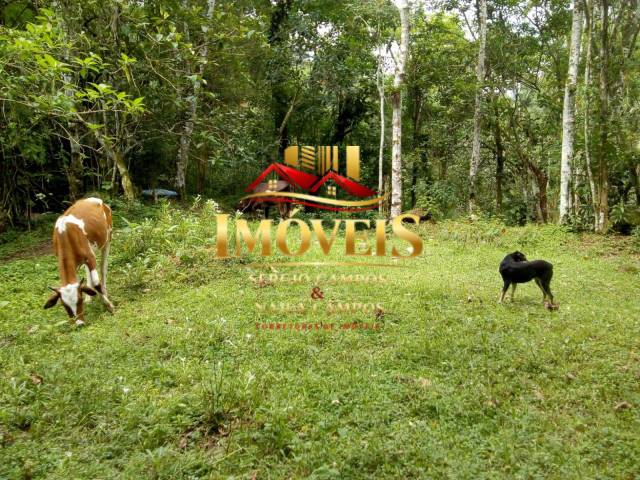 #6206 - Chácara para Venda em Caraguatatuba - SP